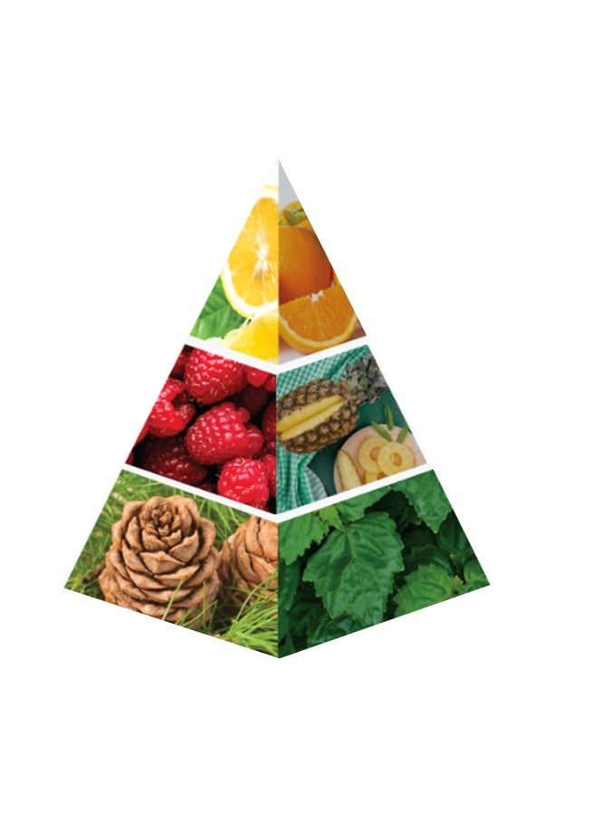 Naseem Bushra Luxury Gift Set – Eau De Parfum, Roll-On & Body Cream - Image 2