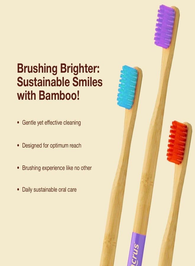 Dencrus ORBY PLUS Bamboo Toothbrush | Pack of 4 | Natural Soft Bristles | Biodegradable and Compostable Toothbrush | Eco-friendly Bamboo Tooth brush | RED, PINK, BLUE, LAVENDER - Image 5
