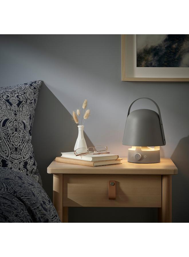 erorex Bluetooth Speaker Lamp, Outdoor/Grey  - Image 2