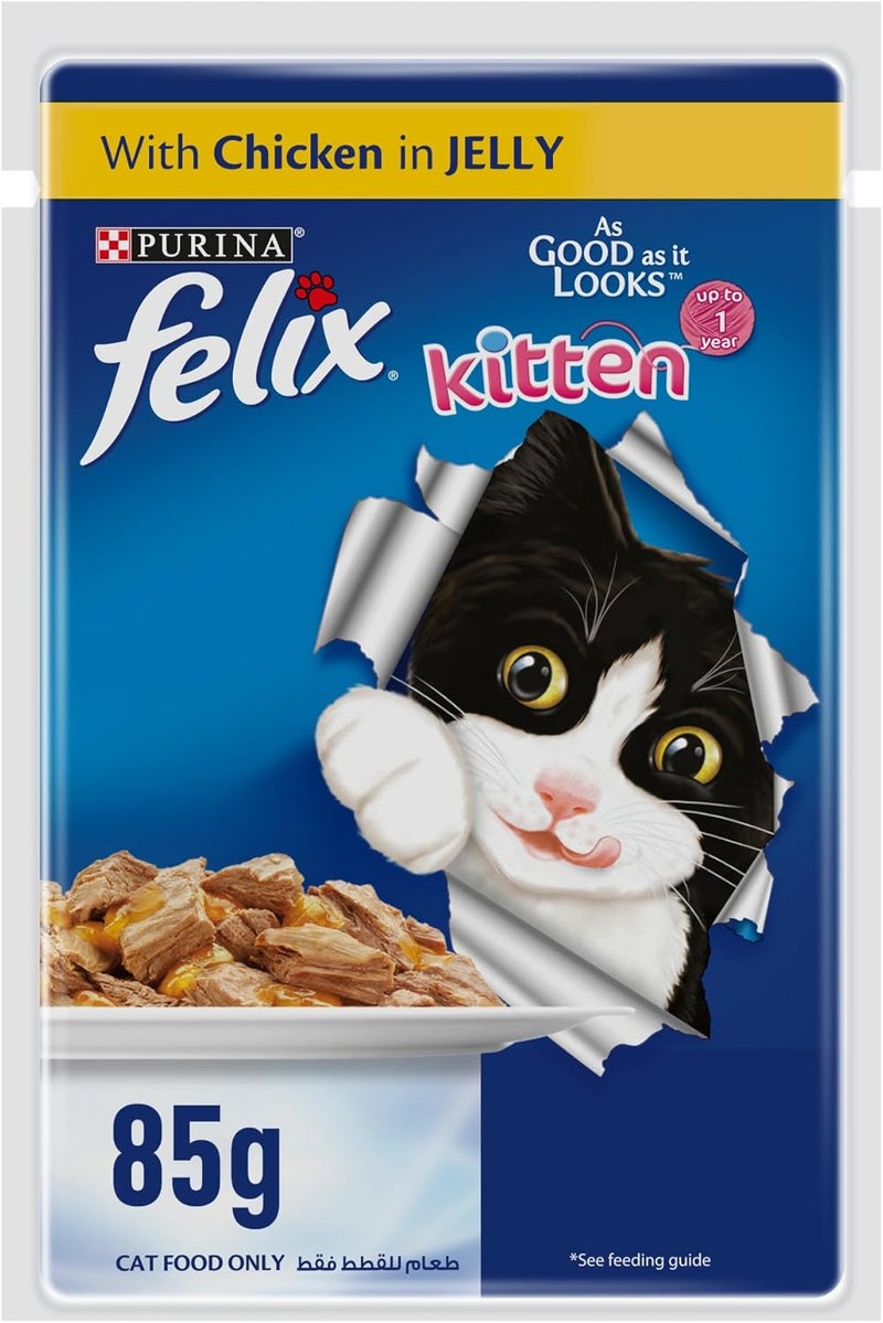 PURINA فيليكس بيورينا كما يبدو لذيذًا جرو مع دجاج في جلي 85 جرام، عبوة من 12 - Image 2