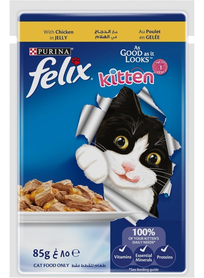 PURINA فيليكس بيورينا كما يبدو لذيذًا جرو مع دجاج في جلي 85 جرام، عبوة من 12 - Image 4