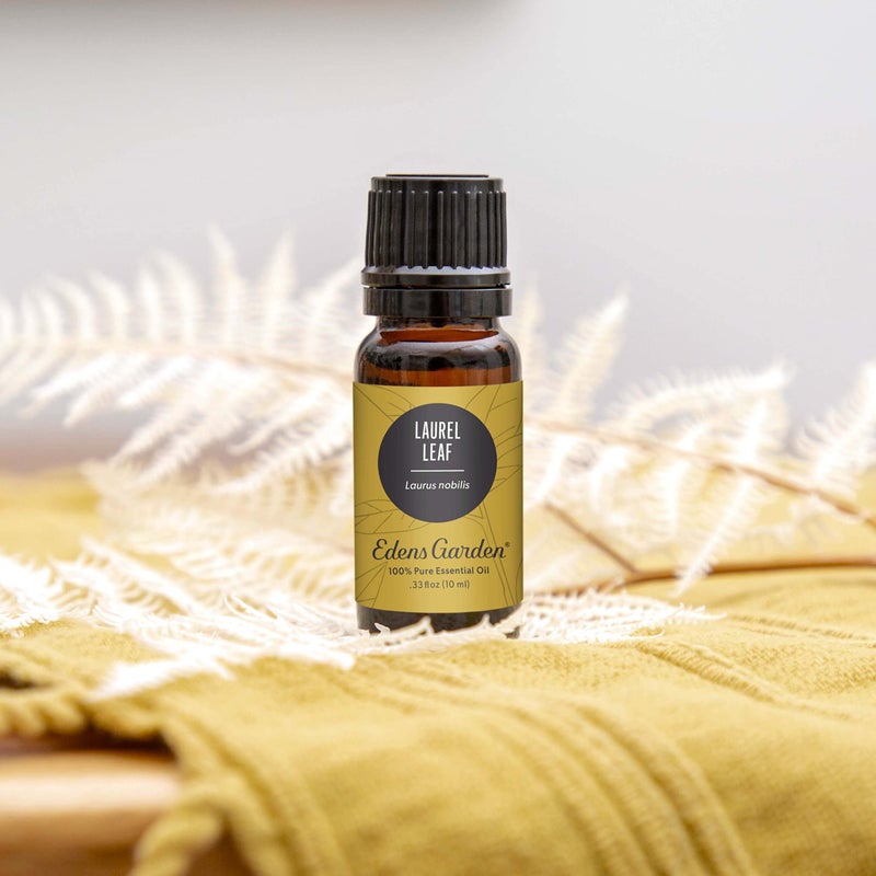 Edens Garden Edens Garden Laurel Leaf Essential Oil- 100% Pure Premium Grade, Undiluted, Natural, Therapeutic, Aromatherapy, The Best for Diffuser, Skin, Candle, Humidifiers 10 ml (.33 fl oz)  - Image 2