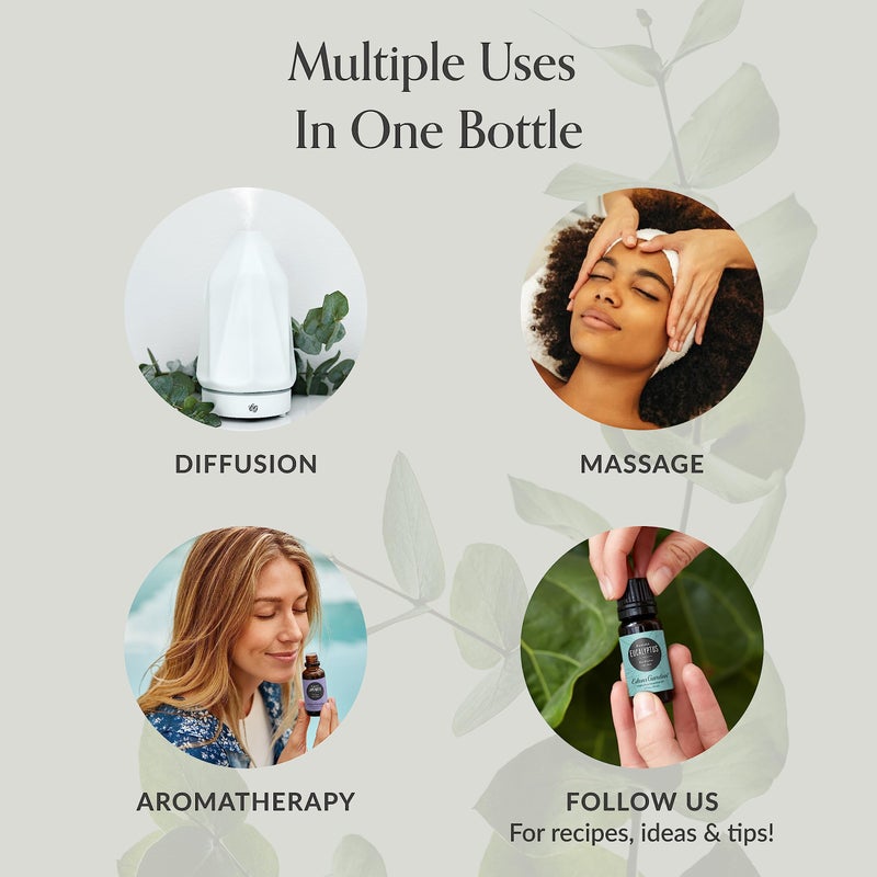 Edens Garden Edens Garden Laurel Leaf Essential Oil- 100% Pure Premium Grade, Undiluted, Natural, Therapeutic, Aromatherapy, The Best for Diffuser, Skin, Candle, Humidifiers 10 ml (.33 fl oz)  - Image 4