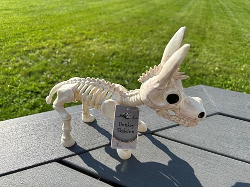 Crazy Bonez Skeleton Donkey 95 Halloween Skeleton Animal Decoration Realistic Bone Detail Durable AllWeather Plastic Posable Mouth Spooky Indoor Outdoor Farm or Haunted House Dcor - Image 5