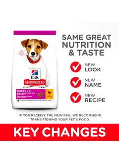 Hill's Science Plan Puppy Small & Mini Chicken Dog -6 Kg  - Image 2
