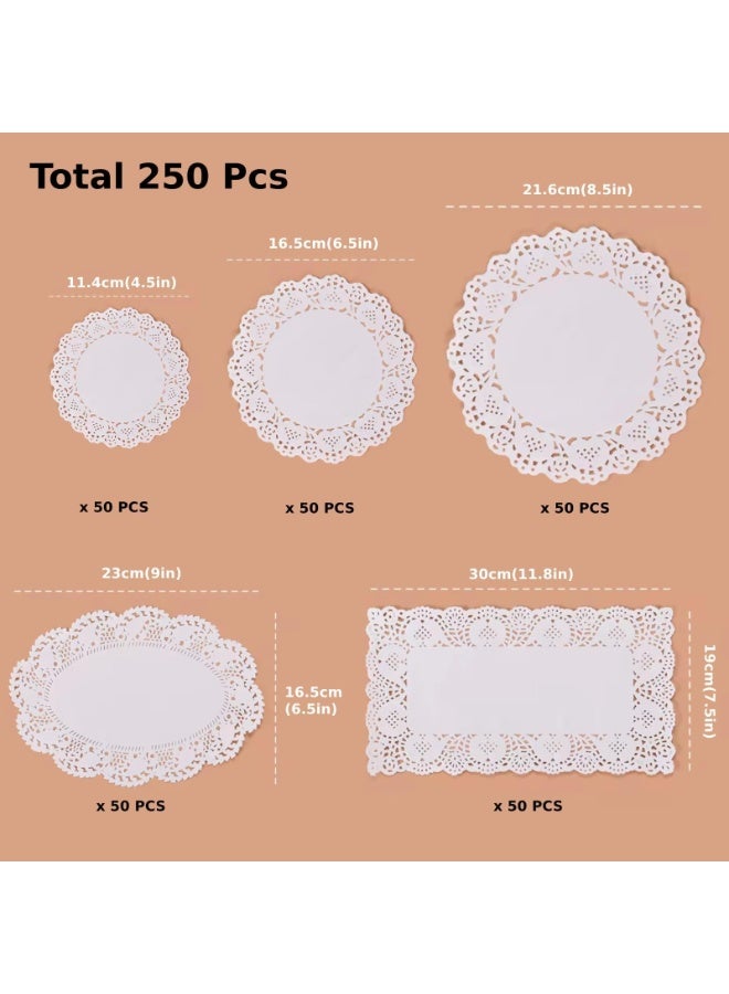 NOSKIN 250-Piece Paper Doilies Set, Assorted Round, Oval, and Rectangular Shapes, White Food-Grade Lace Design - Image 3