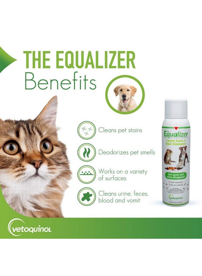 Vetoquinol - Equalizer Pet Carpet Cleaner, Stain Remover & Odor Eliminator, Carpet Spot Cleaner, 20Oz - Image 1