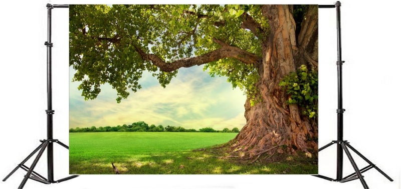 Yeele 10x8ft Spring Backdrop for Photography Spring Park Meadow Old Tree Background Outdoor Picnic Nature Scenery Kids Adult Photo Booth Shoot Vinyl Studio Props - Image 3