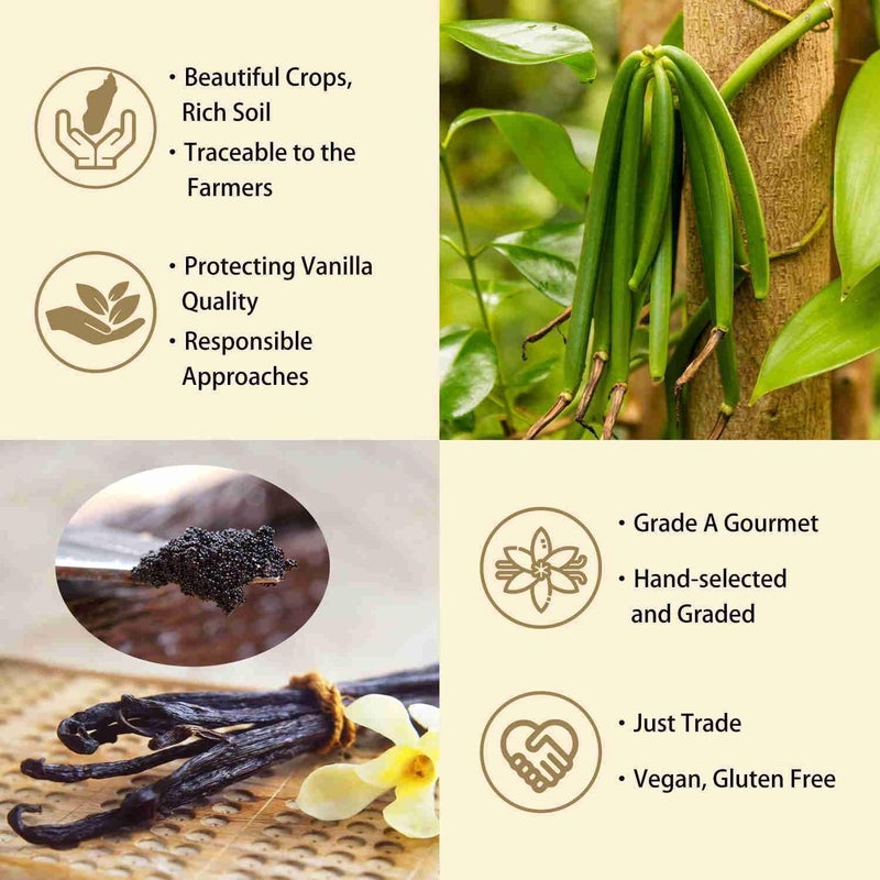 Grelim 12 Madagascar Grade A Vanilla Beans - Whole Pods for Extract and Baking - Image 4