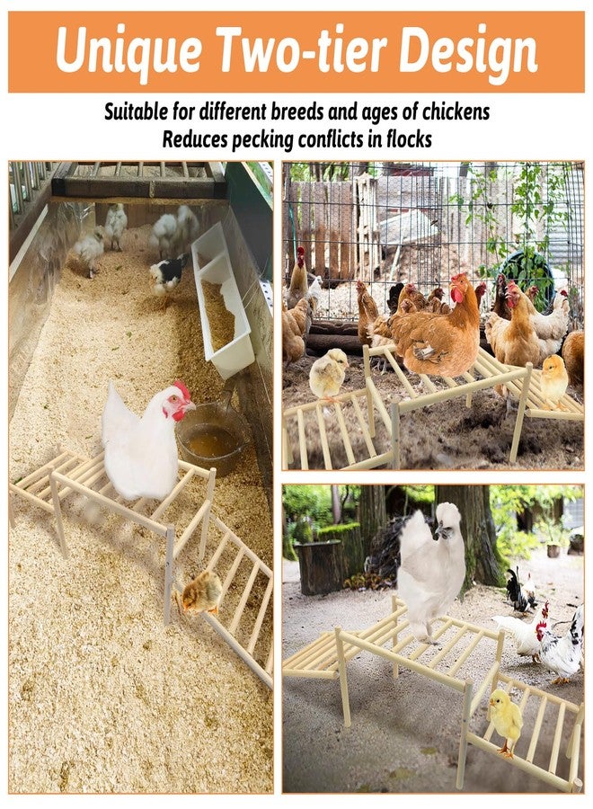 هامليدي مجثم دجاج مائل من هاميليدي لحظيرة الدجاج - مجثم قابل للتسلق بتصميم ملعب، يشجع على ممارسة التمارين الطبيعية ونشاط التسلق الصحي للدجاج (سهل التركيب) - Image 3