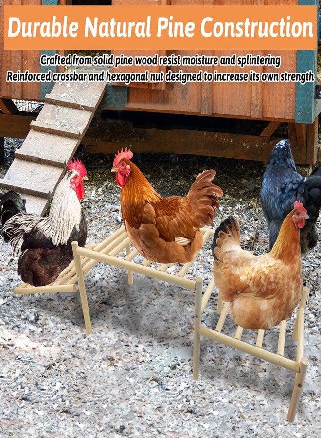 هامليدي مجثم دجاج مائل من هاميليدي لحظيرة الدجاج - مجثم قابل للتسلق بتصميم ملعب، يشجع على ممارسة التمارين الطبيعية ونشاط التسلق الصحي للدجاج (سهل التركيب) - Image 5