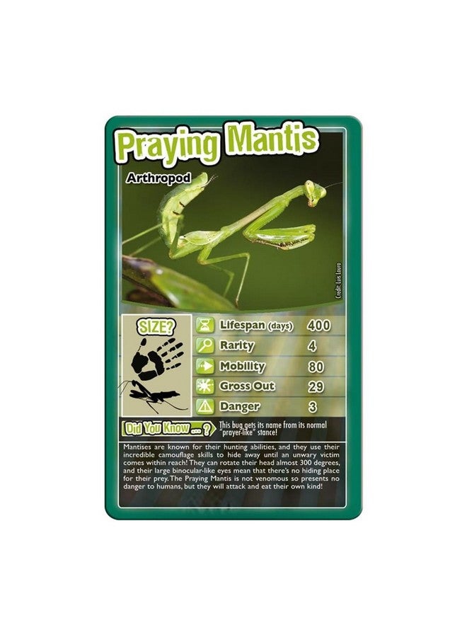 Top Trumps Top Trumps Bugs Classic Card Game, learn facts about the Black Widow, furry Tarantula, Praying Mantis and the Ladybird in this educational pack, gift and toy for boys and girls aged 6 plus - Image 2
