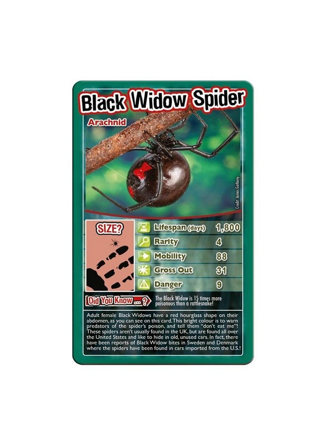 Top Trumps Top Trumps Bugs Classic Card Game, learn facts about the Black Widow, furry Tarantula, Praying Mantis and the Ladybird in this educational pack, gift and toy for boys and girls aged 6 plus - Image 4