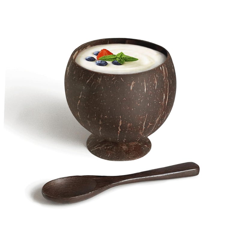Natural Coconut Shell Bowl Set With Wooden Spoon Fork Eco Friendly Food Storage Container - Image 4