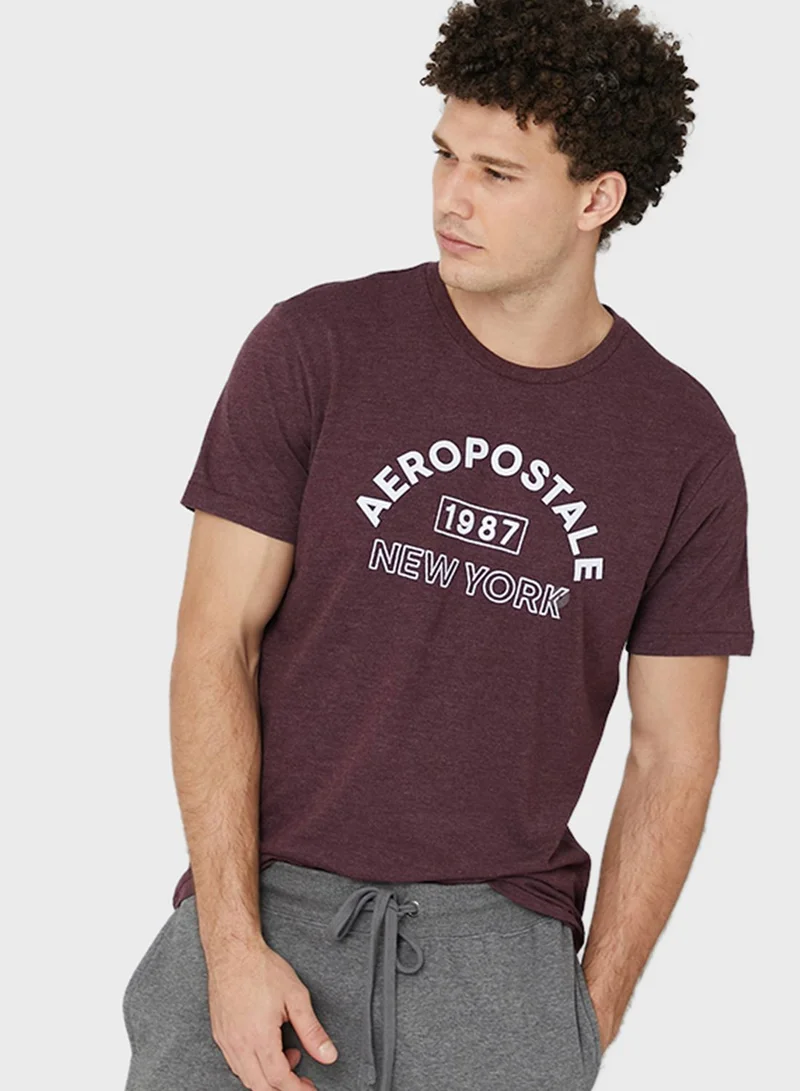 Aeropostale New York Crew Neck T-Shirt