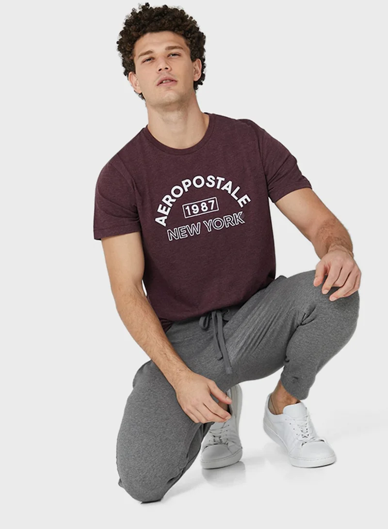 Aeropostale New York Crew Neck T-Shirt