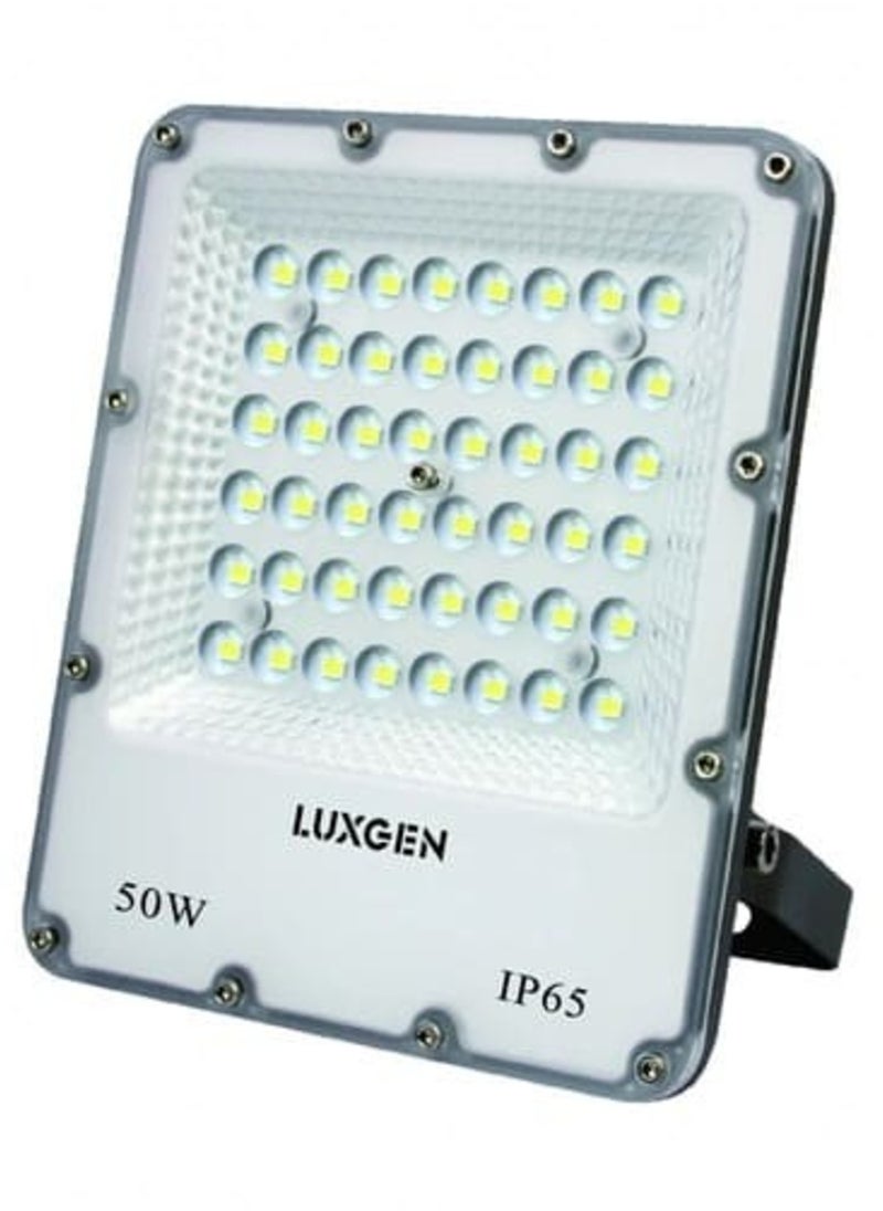 Luxgen - Outdoor floodlight, 50 watt, white lighting - Image 1