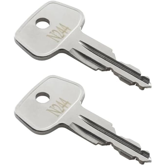 rayihni N244 Car Rack Replacement Key (2 Pcs) Fits for Thule Compatible Roof Racks, Cargo Box, Carriers, Crossbars - Image 2