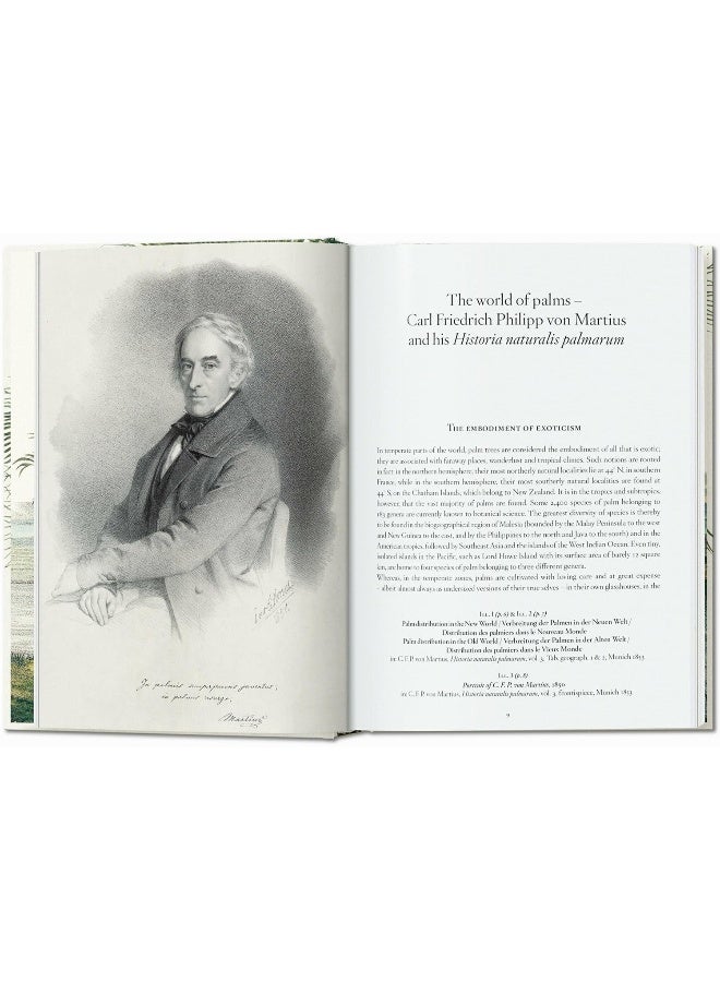 مارتيوس. كتاب النخيل. الطبعة 45. - Image 3