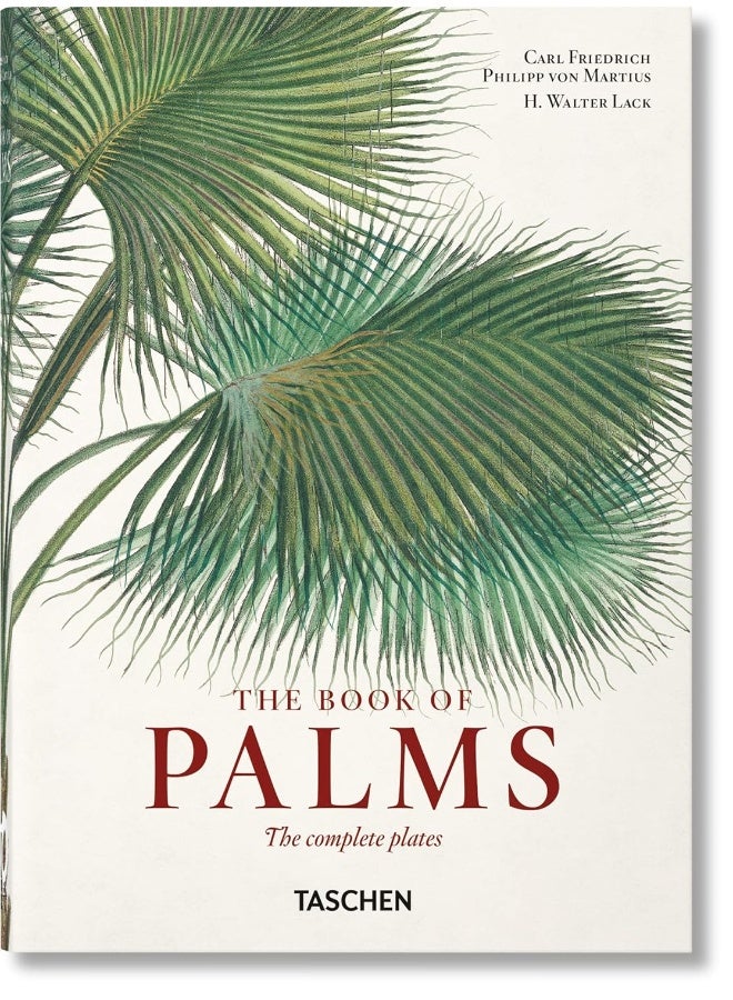 مارتيوس. كتاب النخيل. الطبعة 45. - Image 1