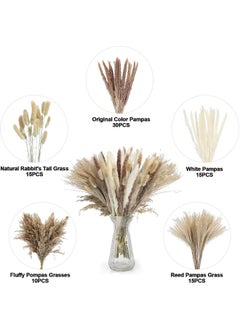 Generic 85 Pcs Dried Pampas Grass Dried Flowers Of Small Reeds Boho Natural Flowers Arrangements White Reed Bunny Tails for Home Decor Flower Living Room Balcony Wedding Party 