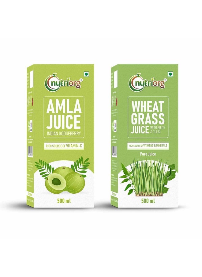 nutriorg Nutriorg Amla & Wheat Grass Juice - 500 ml | Company Own Farmlands | Immunity Booster | Detoxification  - Image 1