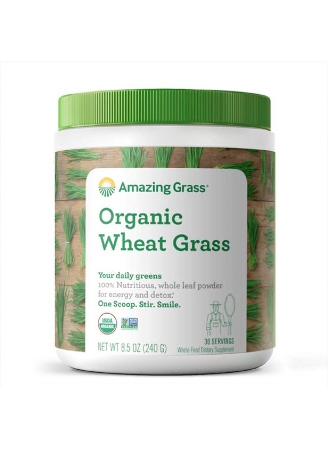 Amazing Grass - Wheat Grass Powder: 100% Whole-Leaf Wheat Grass Powder for Energy, Detox & Immunity Support, Chlorophyll Providing Greens, 30 Servings - Image 1