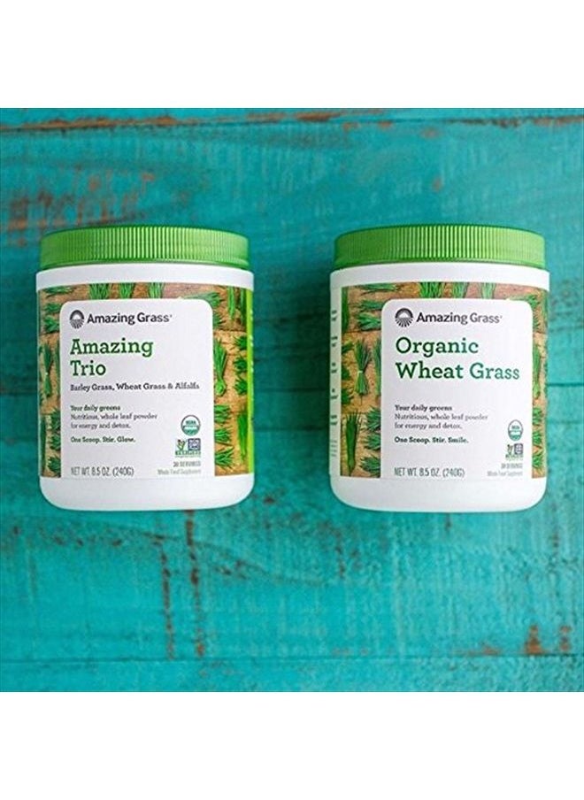 Amazing Grass - Wheat Grass Powder: 100% Whole-Leaf Wheat Grass Powder for Energy, Detox & Immunity Support, Chlorophyll Providing Greens, 30 Servings - Image 1