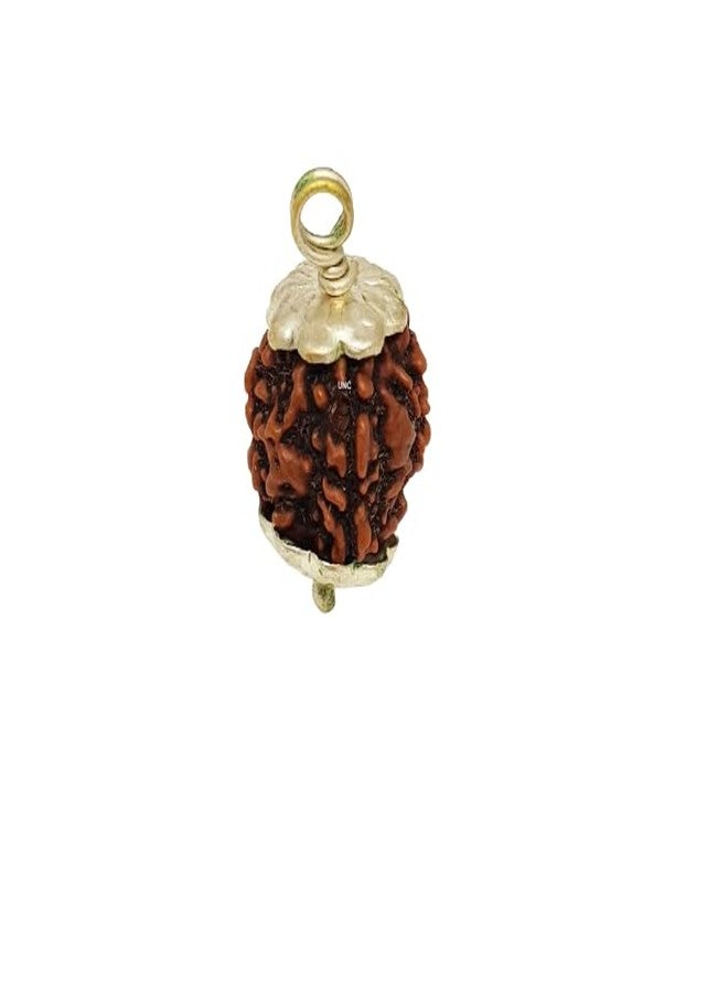 Certified Gems 4 Mukhi Rudraksha Original Certified with Pendant 18mm 4 Mukhi Rudraksha Nepali 4 Face Rudraksha Original Nepal 4 मुखी रुद्राक्ष Char Mukhi Rudraksha 4 Mukhi Nepal Rudraksha by Certified Gems - Image 1
