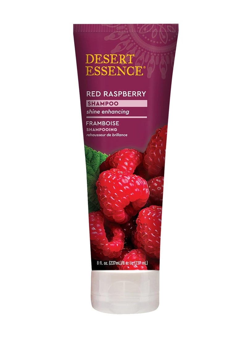 DESERT ESSENCE Desert Essence Red Raspberry Shampoo - 8 Fl Ounce - Gloss & Shine Enhancing - Strengthens Hair - Removes Everyday Pollutants - Vitamin A & C - Calcium - Magnesium  - Image 1