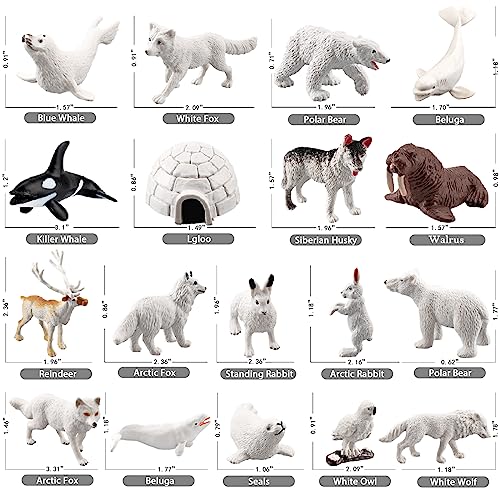 SCAHOW 18pcs Arctic Animal Figures Realistic Arctic Animals Toy Figurines Set with Arctic Fox Wolf Polar Bear Reindeer Figures for Kids Miniature Toys Cake Topper Birthday Gift - Image 5