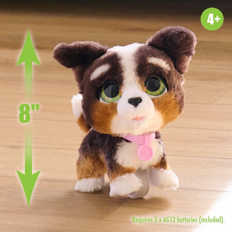 furReal Walk-A-Lots Bernedoodle Interactive Toy, 8-inch Walking Plush Puppy with Sounds, Faux Fur, Kids Toys for Ages 4 Up by Just Play - Image 3