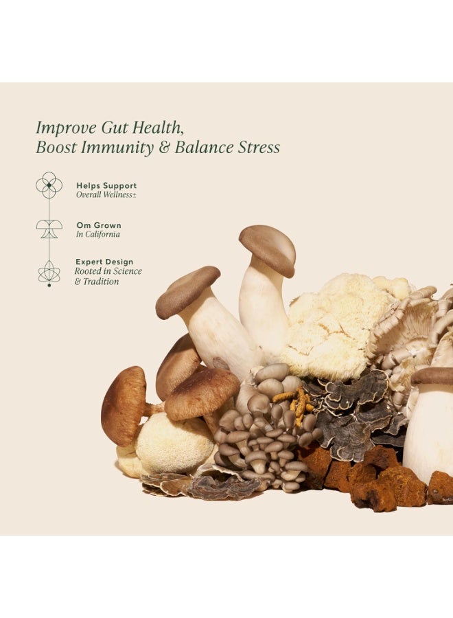 OM Mushrooms Master Blend Mushroom Powder  6.34 oz (80 Servings) - Image 3