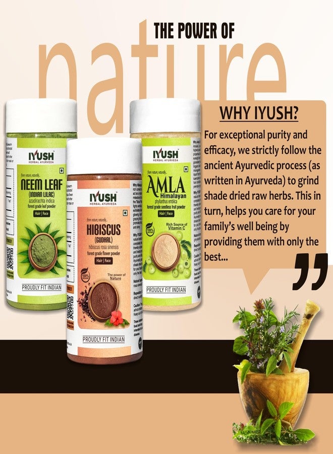 IYUSH Herbal Ayurveda Amla Powder with Neem Powder and Hibiscus Powder for Hair Growth - 750gm | Hair Mask for Dry and Frizzy Hair | Hair Volume Powder | Skin Care & Hair Care | 250gm each - Image 5