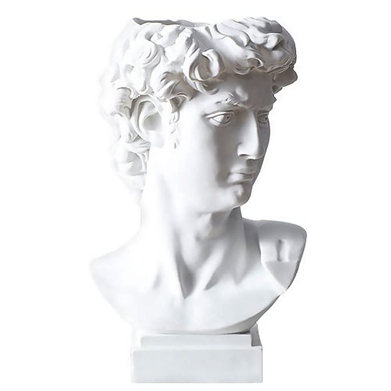 fazhongfa Greek Statue of David Bust Resin Sculpture for Roman Bookshelf Tabletop Office Home Decor 6.5 Inch David Head Artist Figurine Succulent Planters Dried Flowers Vase Makeup Brush Pen Holders - Image 1