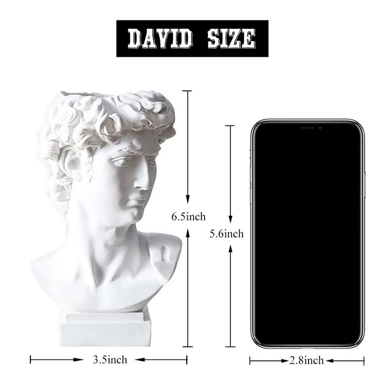 fazhongfa Greek Statue of David Bust Resin Sculpture for Roman Bookshelf Tabletop Office Home Decor 6.5 Inch David Head Artist Figurine Succulent Planters Dried Flowers Vase Makeup Brush Pen Holders - Image 2