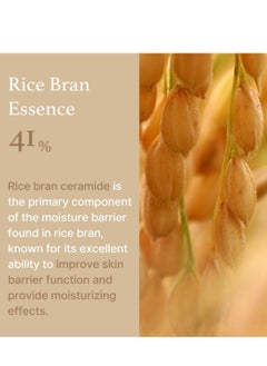 I'M FROM I'm from Rice Cream 50g  - Image 5
