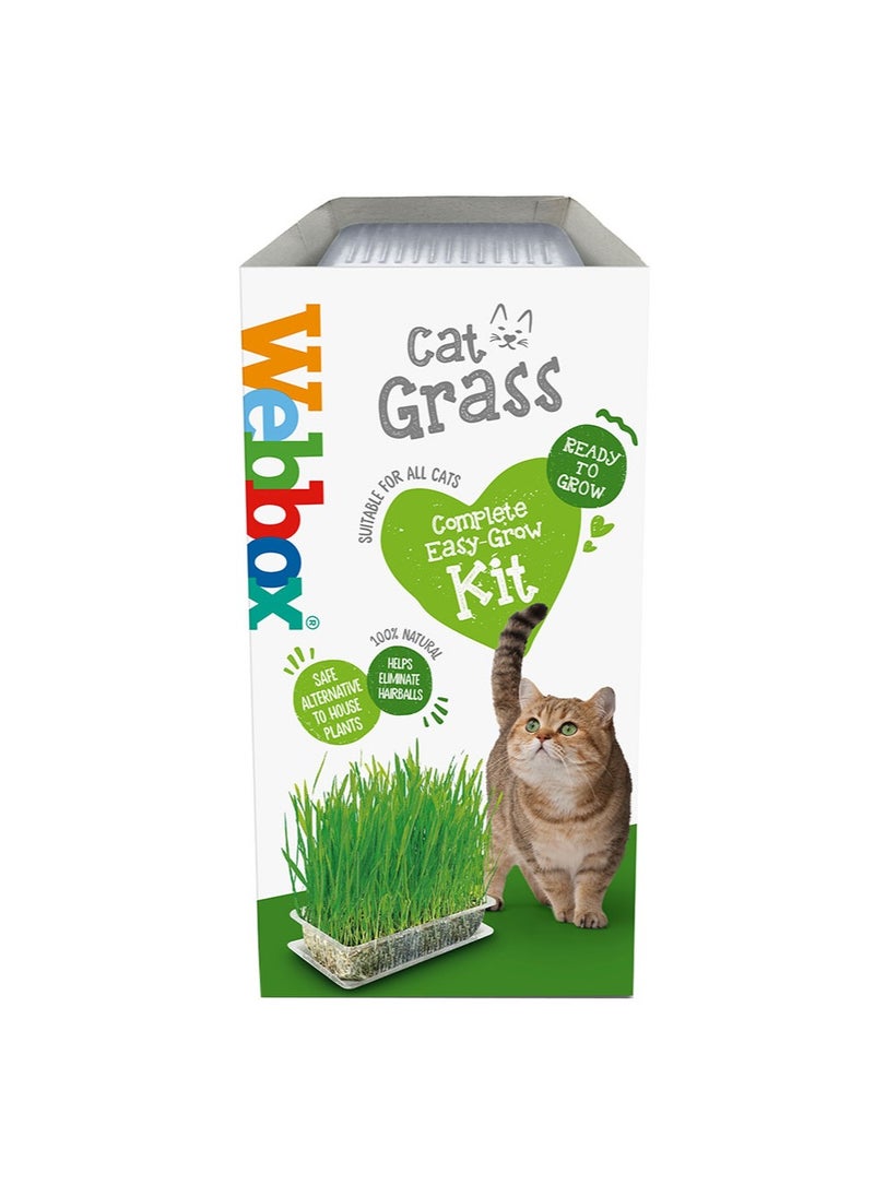 Webbox Cat Grass 120g 