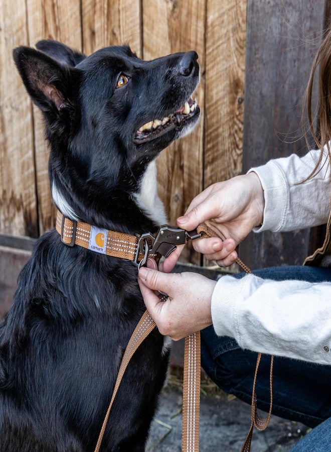 كارهارت طوق كلاب بمقبضين كبير من كارهاارت جير P0000570، لون بني كارهاارت - Image 5