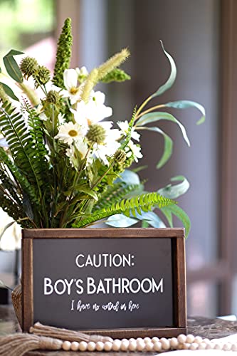 Lavender Inspired Kid's Bathroom Sign, Half Bath Sign, Farmhouse Wall Decor with Funny Quotes-Caution: Boy's Bathroom, I have No Control in Here-Potty Humor - Image 4