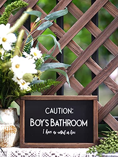 Lavender Inspired Kid's Bathroom Sign, Half Bath Sign, Farmhouse Wall Decor with Funny Quotes-Caution: Boy's Bathroom, I have No Control in Here-Potty Humor - Image 5
