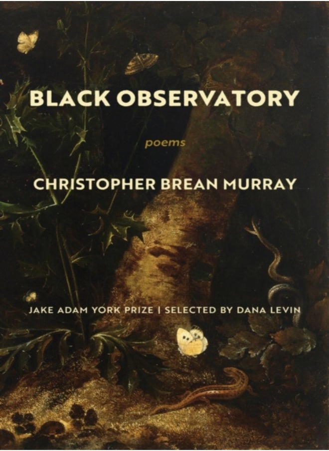 Black Observatory 