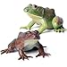 SCAHOW Realistic Tree Frog Figure Plastic Hand Painted Bullfrog Figurine Educational Rubber Animal Model Toys for Kids Children - Image 4