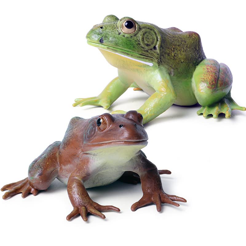 SCAHOW Realistic Tree Frog Figure Plastic Hand Painted Bullfrog Figurine Educational Rubber Animal Model Toys for Kids Children - Image 1