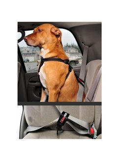 Universal Dog Car Restraint  Dog Seat Belt Safety Lead  AbrasionResistant Vehicle Seatbelt Harness Attachment With Superior Strength And Nylon Webbing  EasyToUse Click It And Go Design - pzsku/Z67CE2888C65B2F355481Z/45/_/1726221744/7d6b6119-3736-4185-ae38-146604eece27