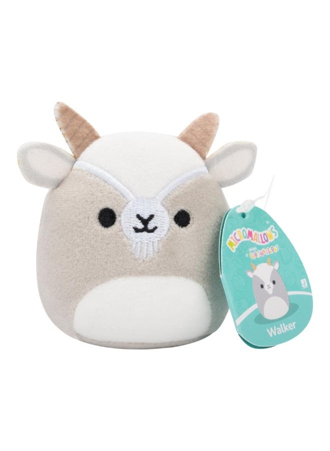 Squishmallows Micromallows Original Micromallows 6-Pack – Axel,Pep,Orphie,Walker,Lune,Floyd - Image 2