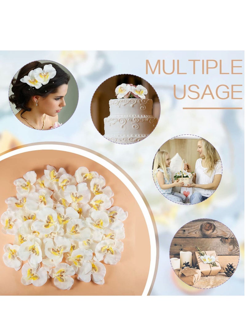 نيبمينينت 50 Pieces Orchid Petals Artificial Decorations Wedding Party Orchids Heads Flowers Faux Silk Phalaenopsis Butterfly Flower - Image 5