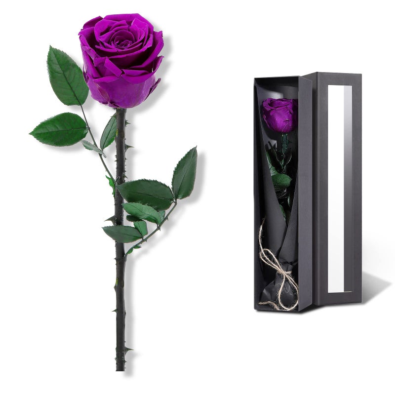 Purple Flowers for Delivery Prime Preserved Purple Roses Flower Gifts for Women Real Roses Single Rose Gifts for Her Mom Birthday Gifts from Daughter Valentines Flowers