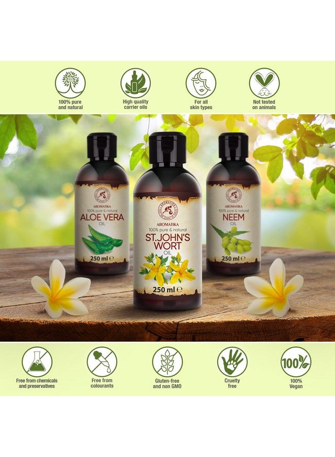 Aromatika زيت سانت جون 8.5 أونصة سائلة (250 مل) هيبيريكوم بيرفوراتوم 100% نقي وطبيعي زيت سانت جون للعناية المكثفة للوجه والجسم والبشرة والشعر والتدليك زيت أساسي رائع - Image 4