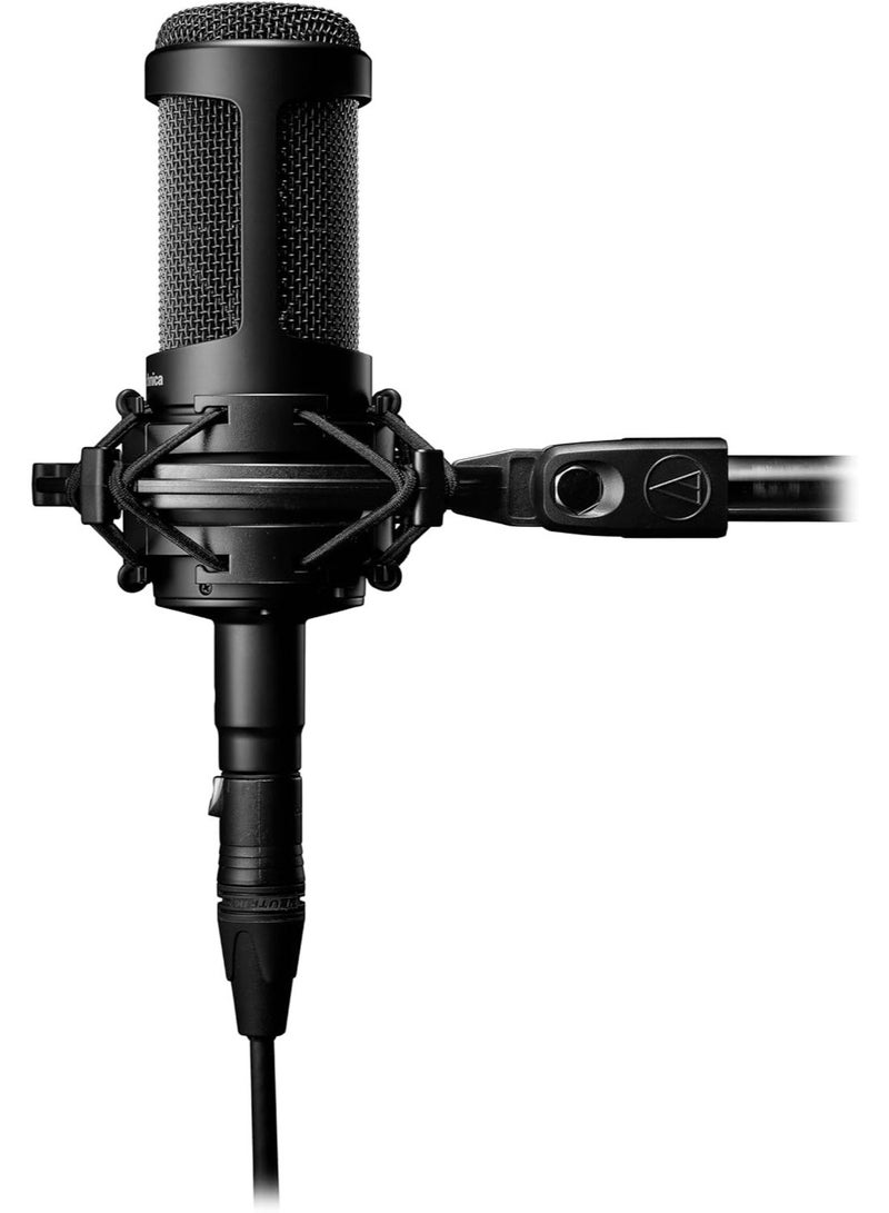 Audio-Technica Multi-Pattern Condenser Microphone AT2050 (Black) - Image 2